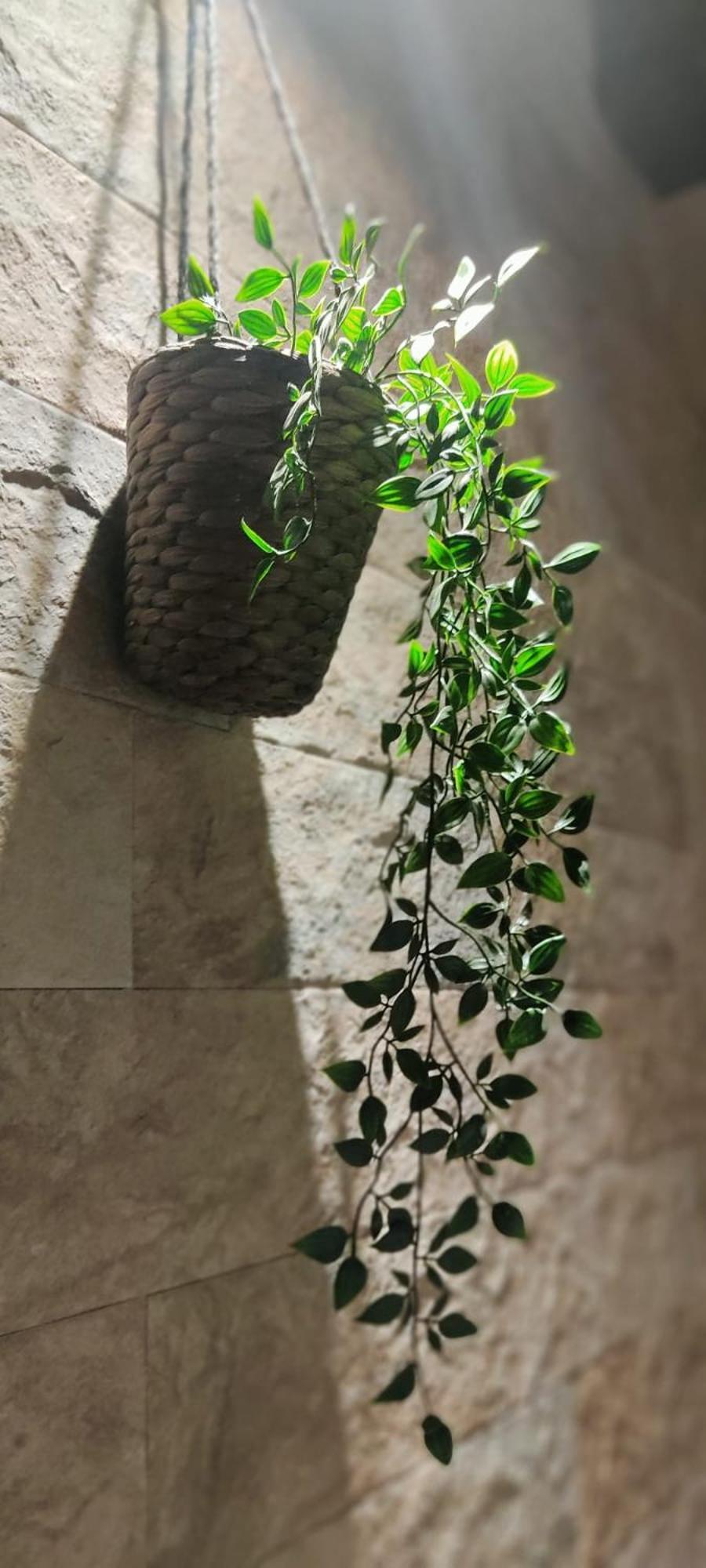 فندق Dimora Al Saraceno فيرّارا المظهر الخارجي الصورة